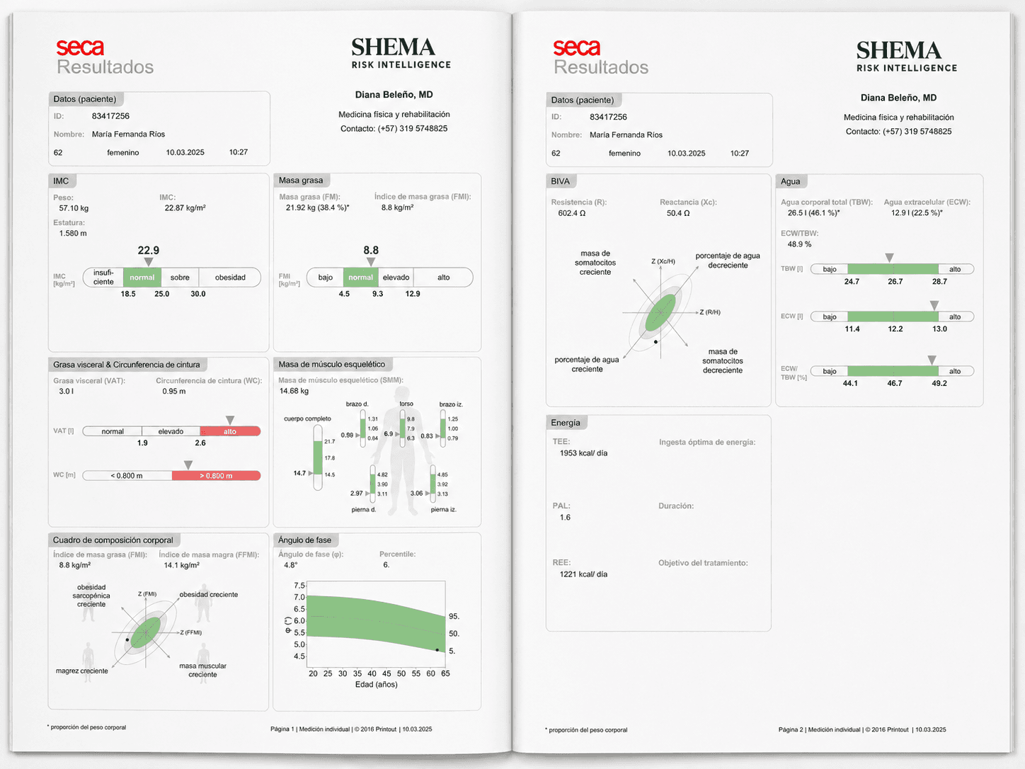 Ejemplo de informe personal de composición corporal SHEMA Risk Intelligence en dos páginas